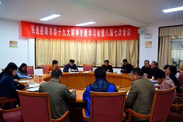 民进岳阳市委召开学习十九大精神暨八届七次市委会议